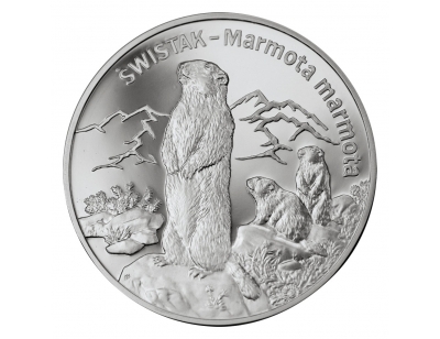 20 zł – Świstak (łac. Marmota marmota)