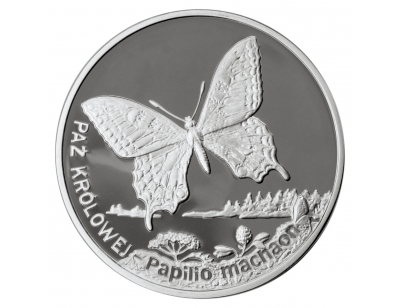 Paź Królowej (łac. Papilio machano)