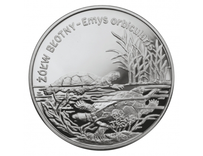 Żółw błotny (łac. Emys orbicularis)