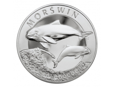 Morświn (łac. Phocoena phocoena)