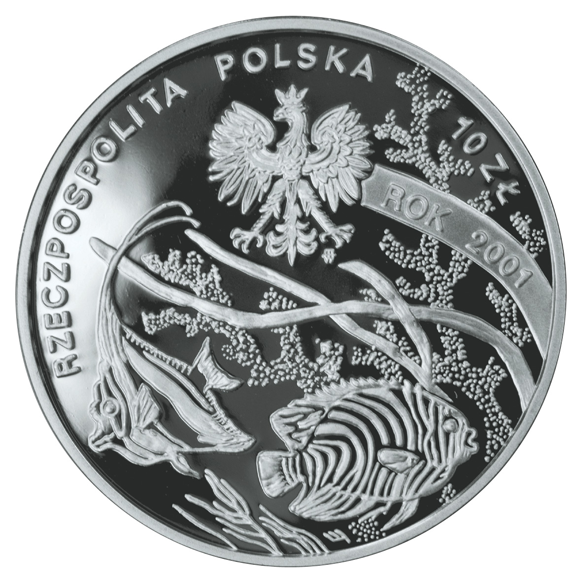 10zl-michal-siedlecki-1873-1940-awers-monety