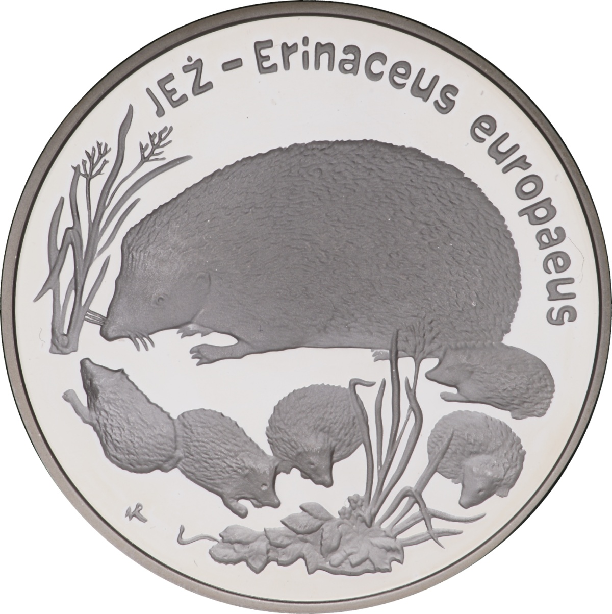 20zl-jez-lac-erinaceus-europaeus-rewers-monety