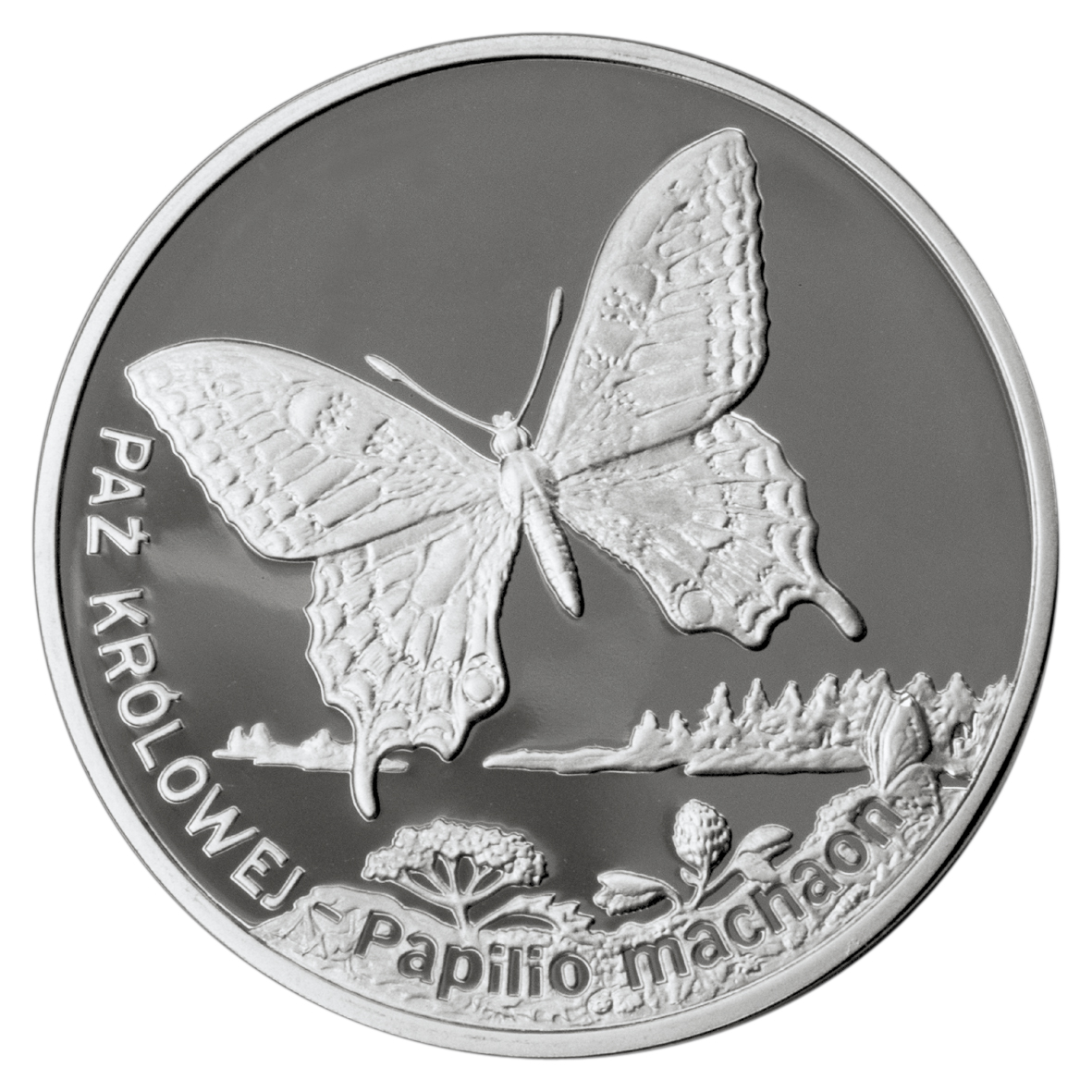20zl-paz-krolowej-lac-papilio-machano-rewers-monety