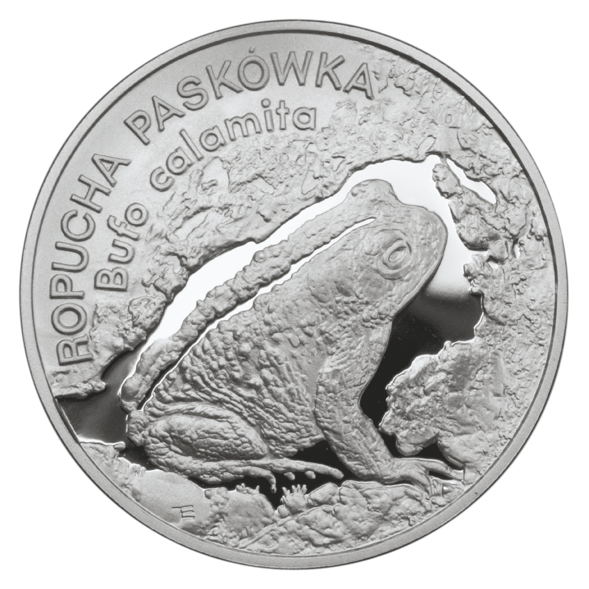 20zl-ropucha-paskowka-lac-bufo-calamita-rewers-monety