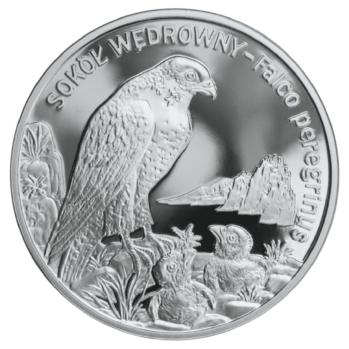 20zl-sokol-wedrowny-lac-falco-peregrinus-rewers-monety
