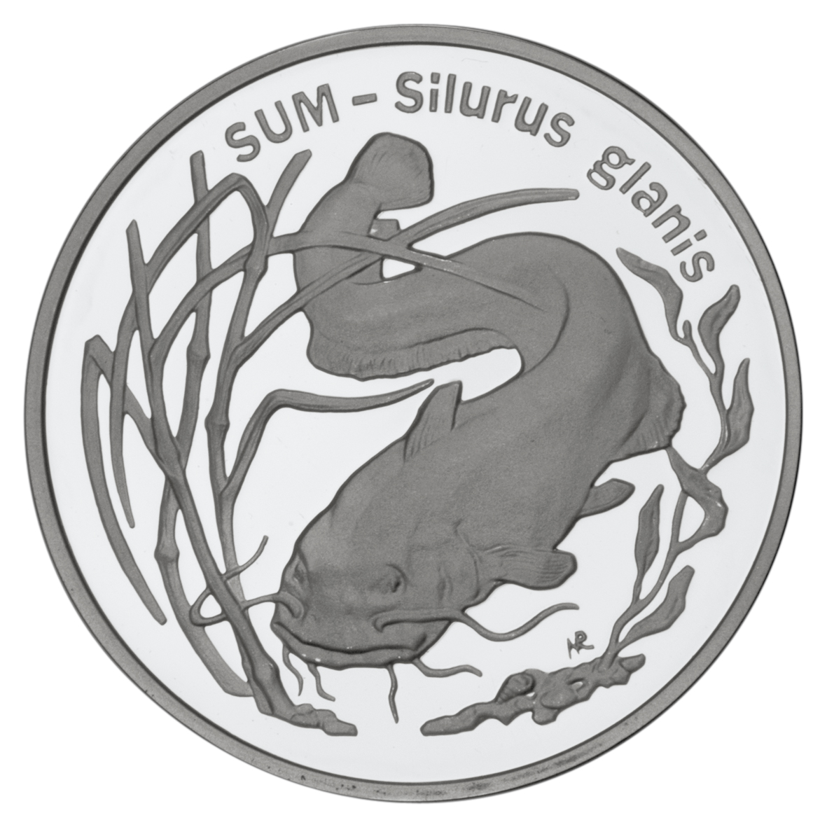 20zl-sum-silurus-glans-rewers-monety