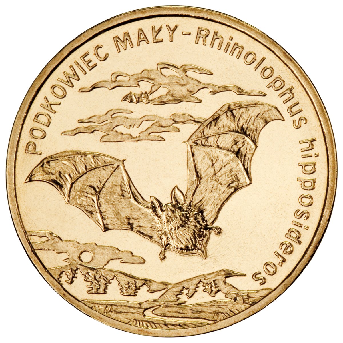 2zl-podkowiec-maly-lac-rhinolophus-hipposideros-rewers-monety