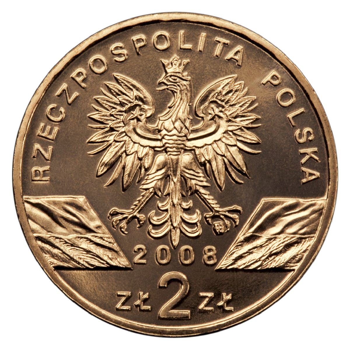 2zl-sokol-wedrowny-lac-falco-peregrinus-awers-monety