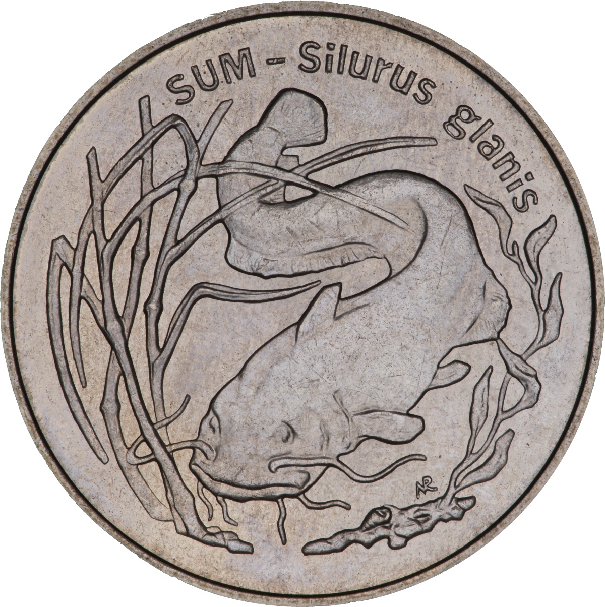 2zl-sum-silurus-glans-rewers-monety